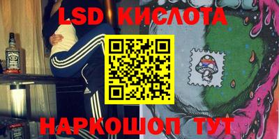 шишки Гатчина
